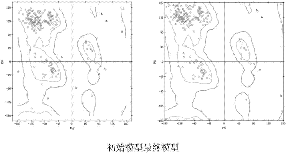 Humanized anti-CD19 antigen binding fragment