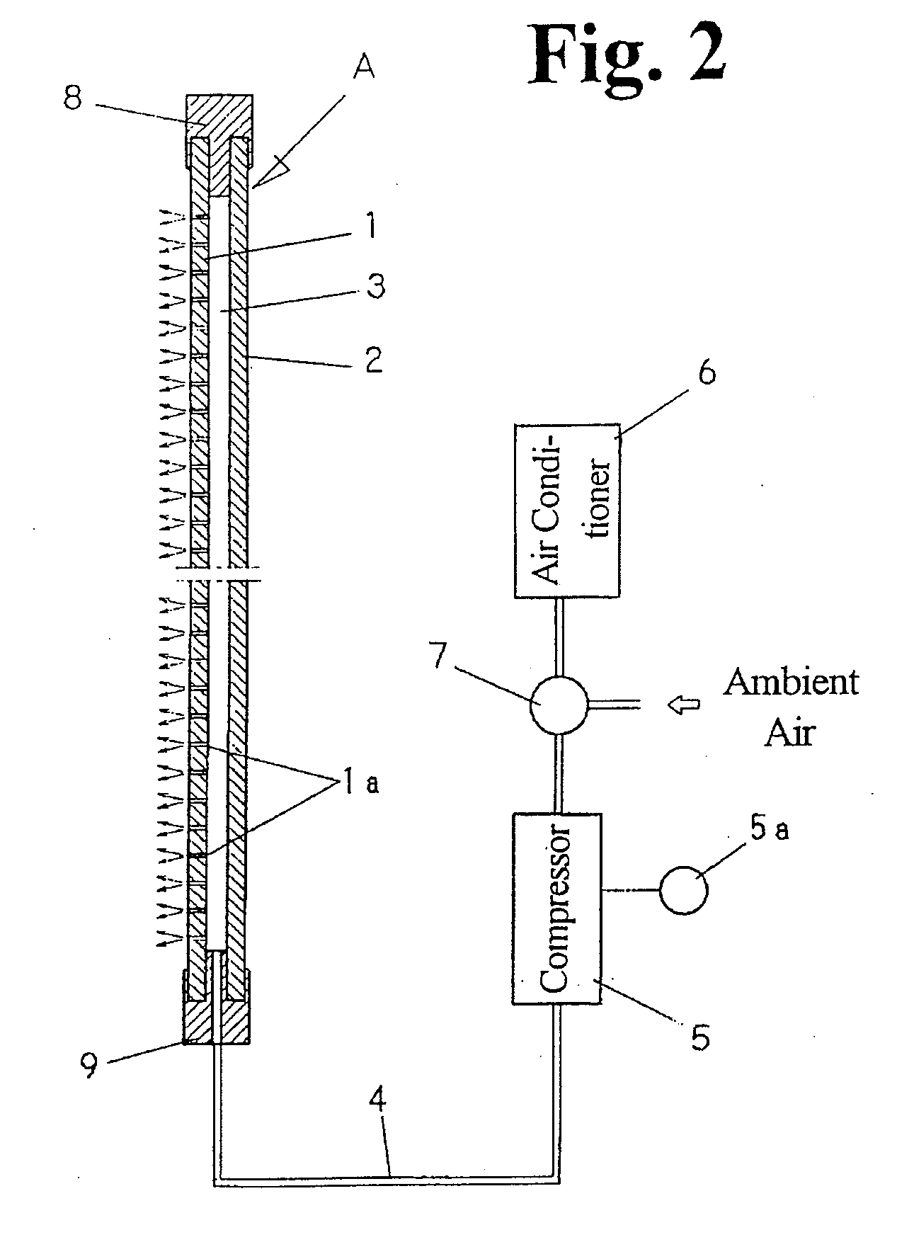 Vitreous System