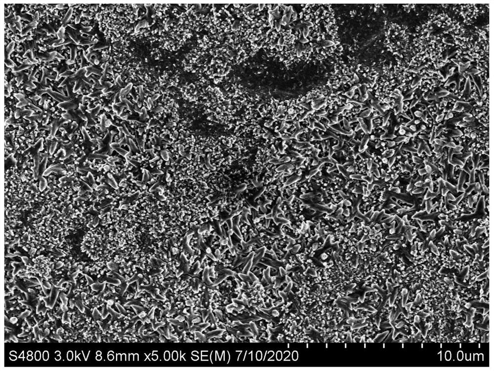 Ti3C2Tx-TiO2 nanotube array self-supporting film electrode material as well as preparation method and application thereof