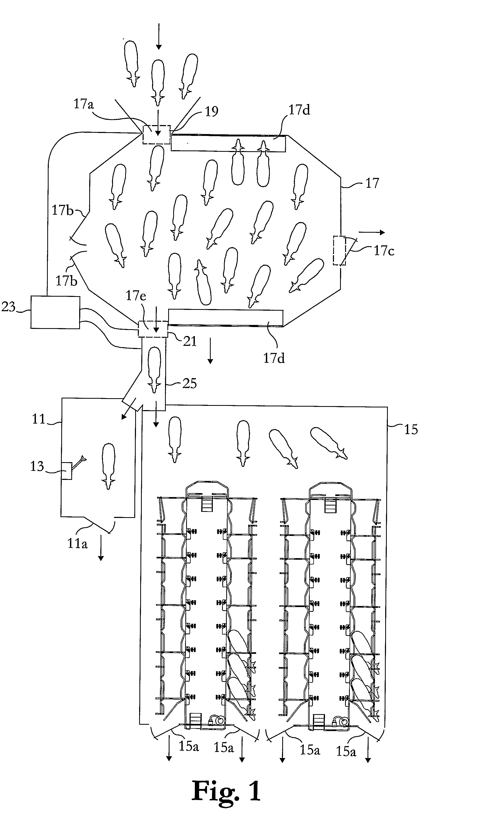 Arrangement and Method for Milking a Plurality of Milking Animals