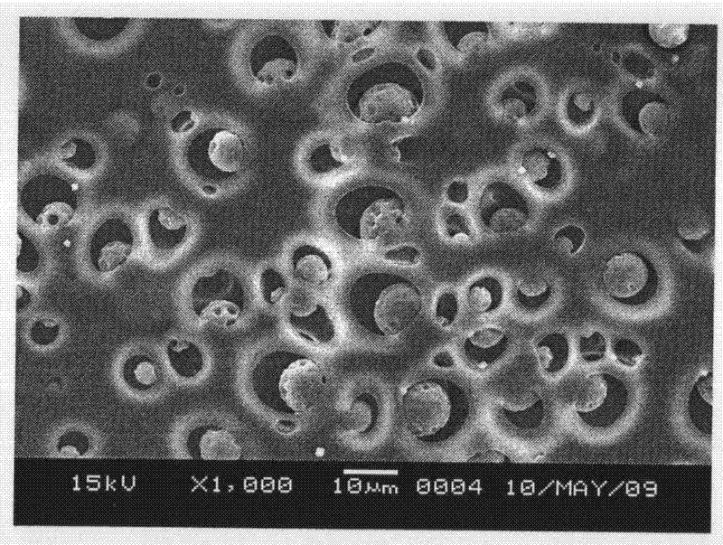 A kind of preparation method of chitosan/polyvinyl alcohol/polylactic acid blend dense film