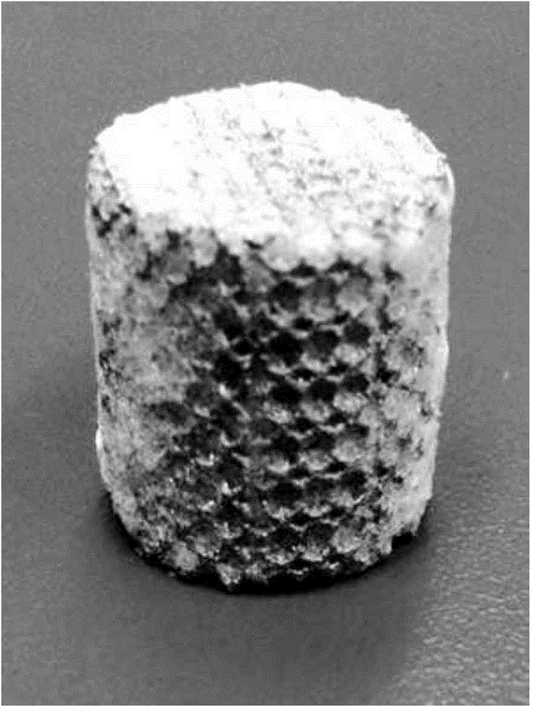 3D printed porous metal with bionic three-dimensional (3D) micro-scaffold and preparation method of 3D printed porous metal