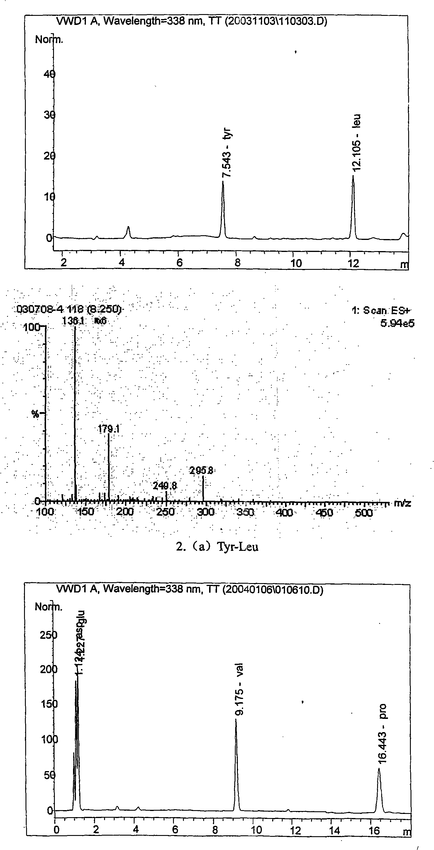 Process for preparing phosphopeptide non-phosphopeptide by hydrolyzing protein through enzyme