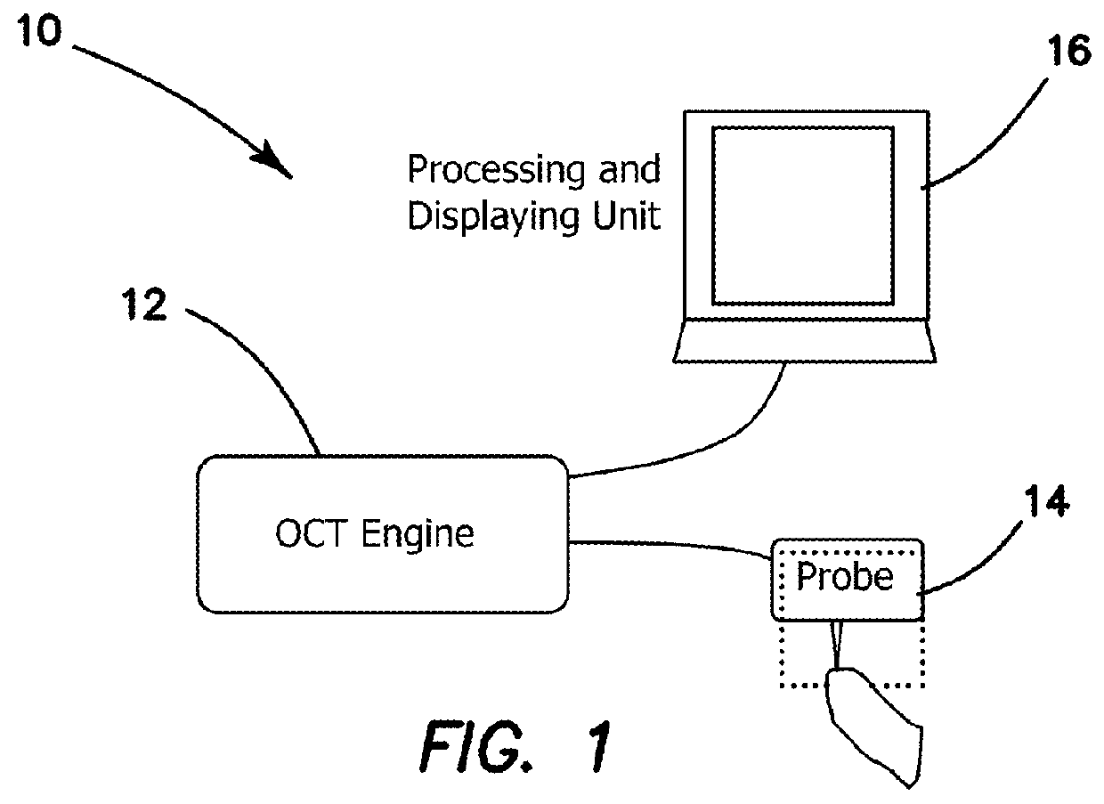 Apparatus and method for capturing a vital vascular fingerprint