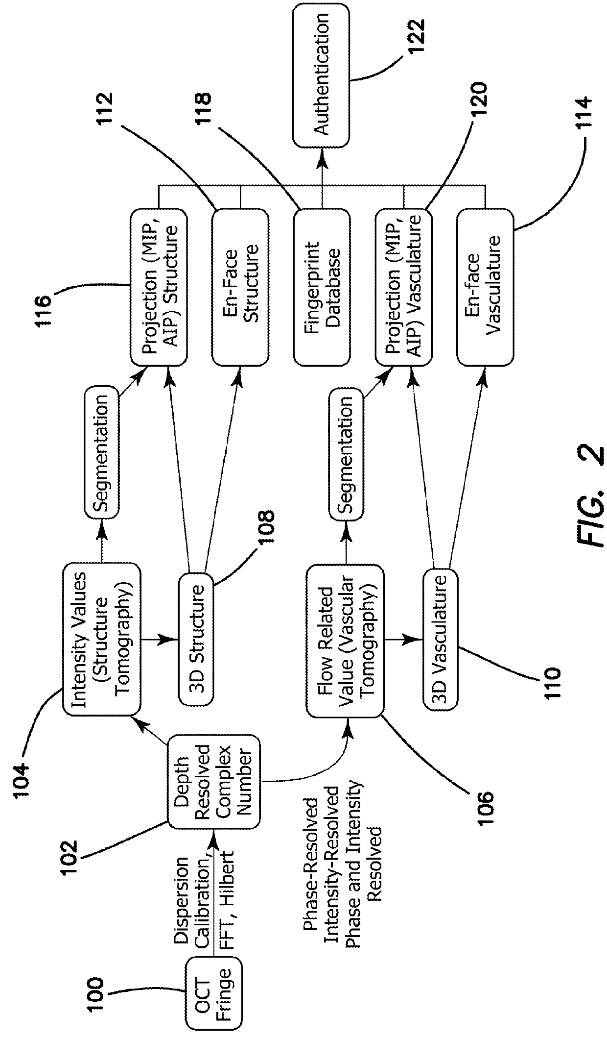 Apparatus and method for capturing a vital vascular fingerprint