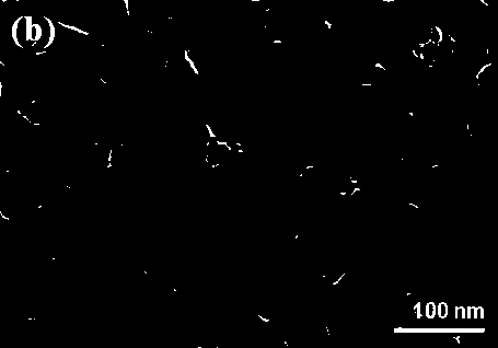 Carbon-coated molybdenum sulfide/water hyacinth biomass carbon composite material and preparation method and use thereof