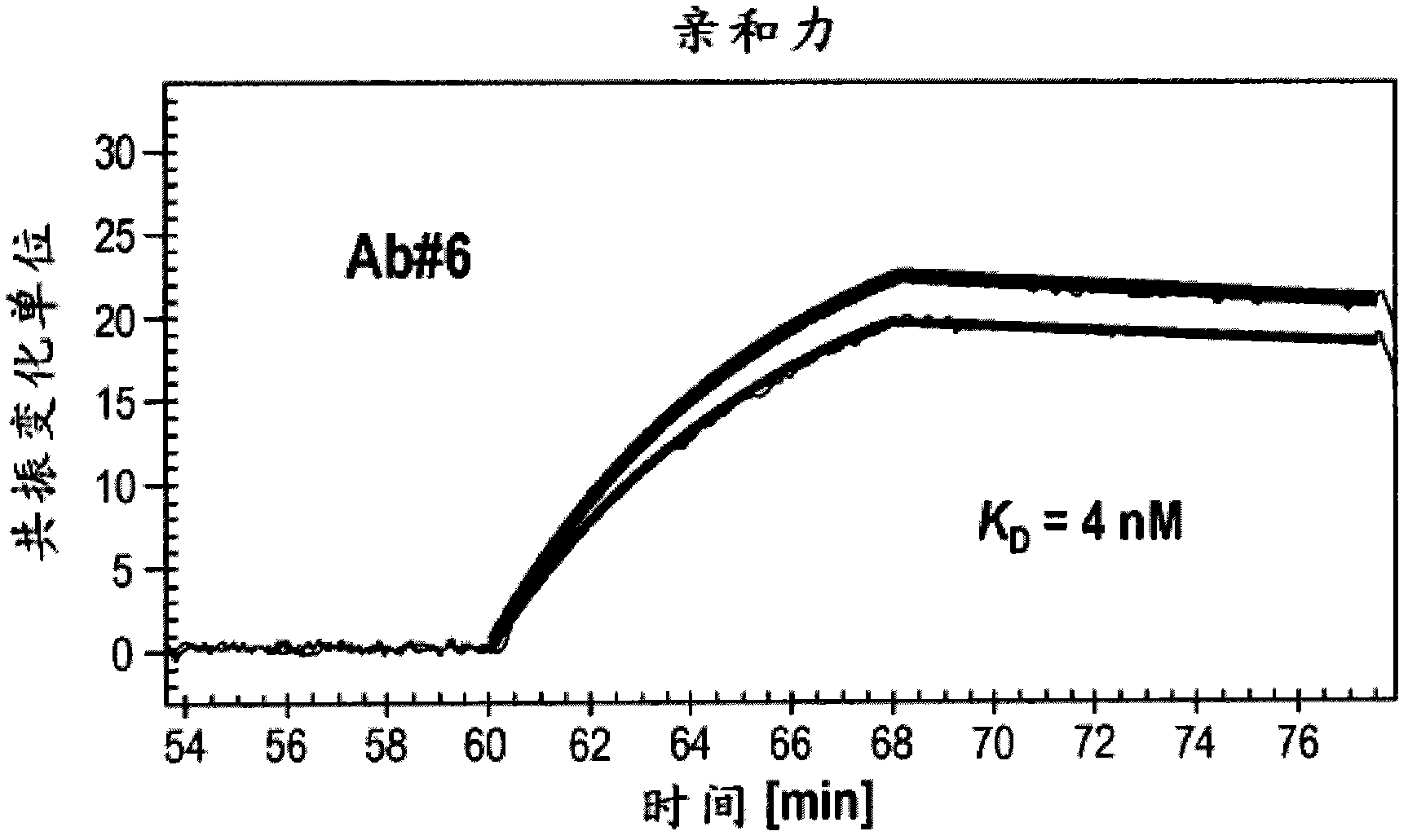 Antibodies against the ectodomain of ErbB3 and uses thereof