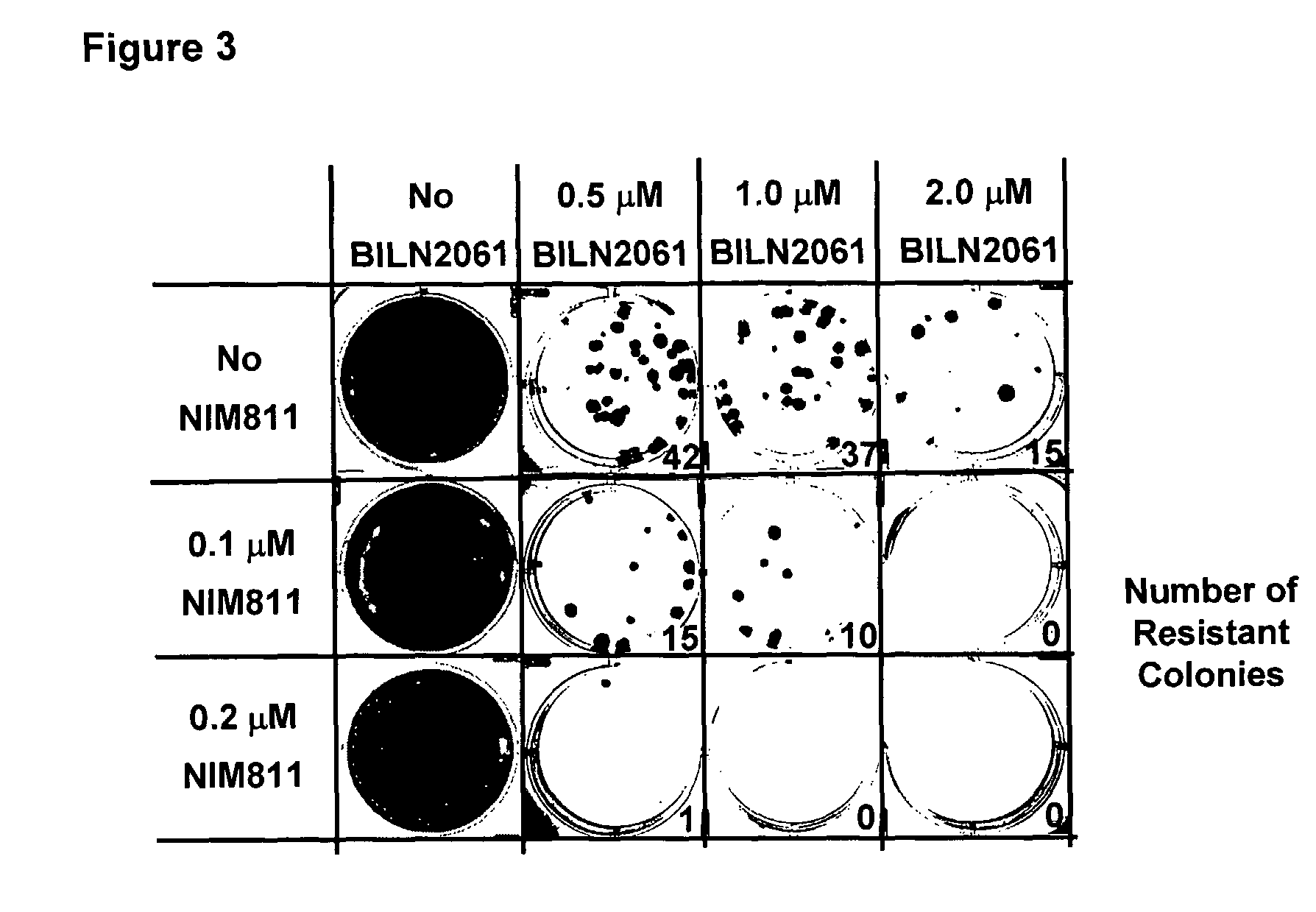 Compositions for HCV treatment