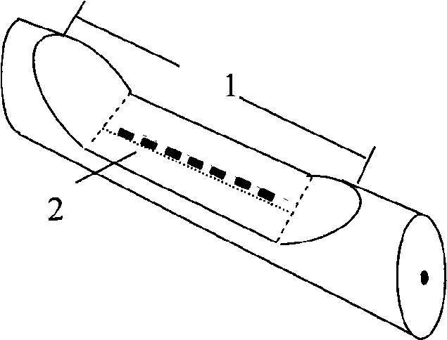 Optical fibre sensor and application thereof to refracting index and strain measurement