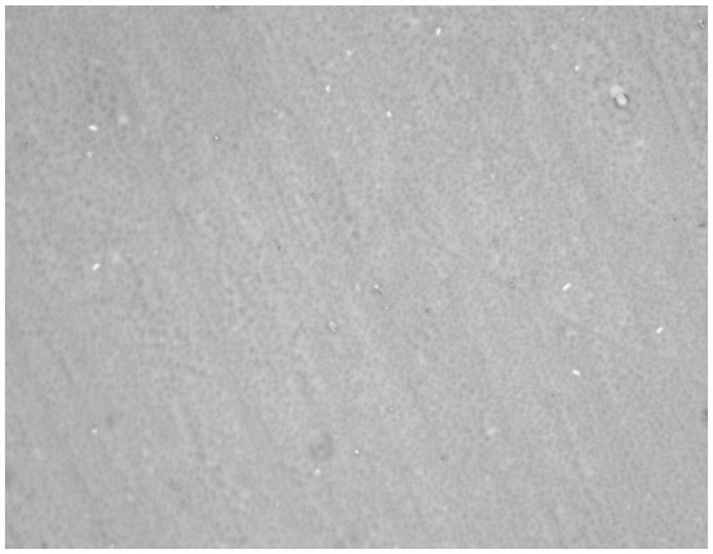 Method for preparing graphene film through combination of carbon dioxide and low-pressure chemical vapor deposition