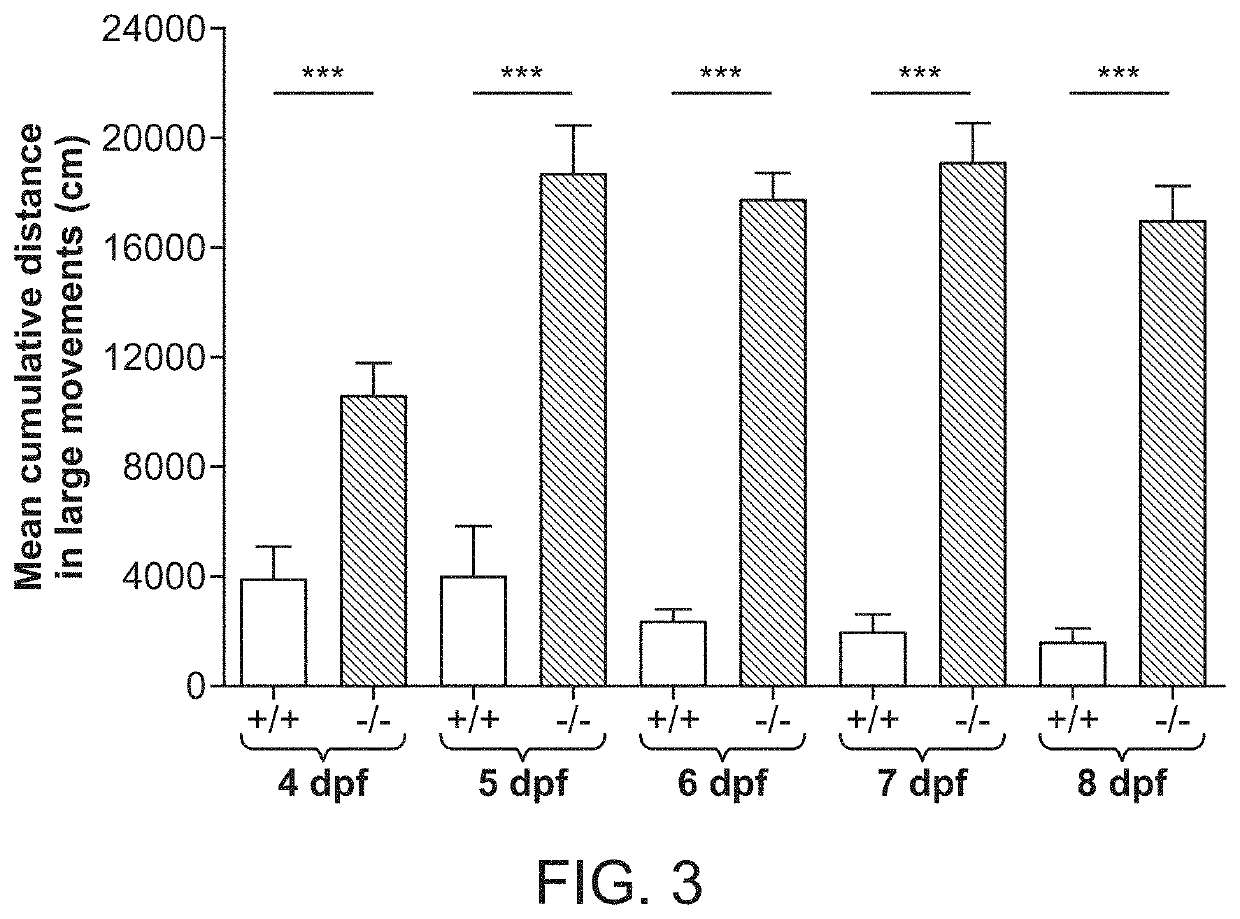 Combination treatment of specific forms of epilepsy