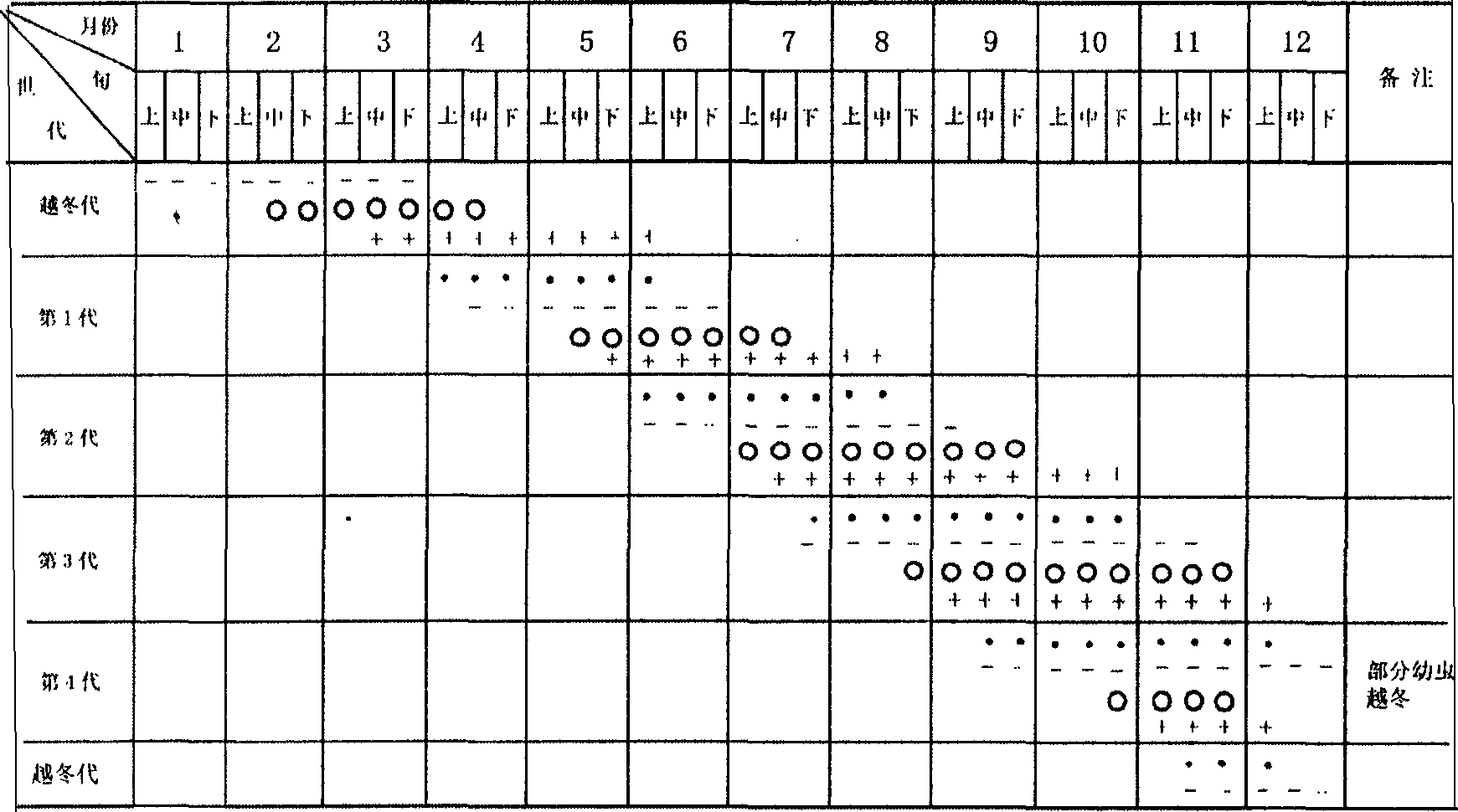 Artificial cultivation method of glenea cantor