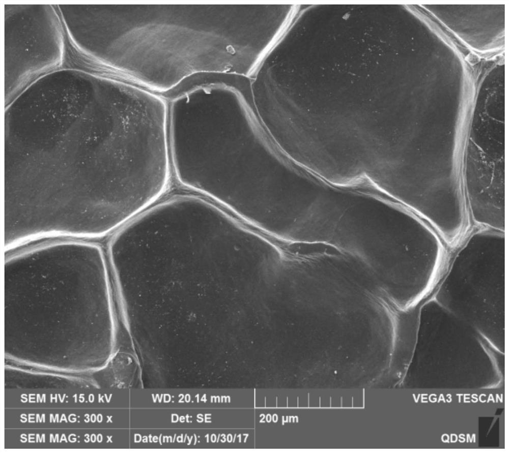 A kind of decellularized dermal matrix derived from fish skin and its preparation method