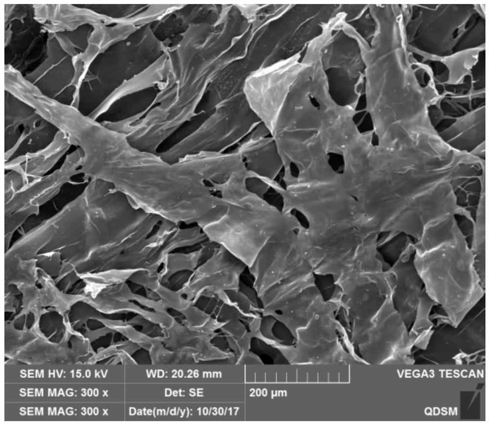 A kind of decellularized dermal matrix derived from fish skin and its preparation method