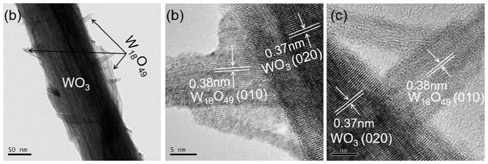 A kind of tungsten oxide homojunction composite photocatalyst and its preparation method and application