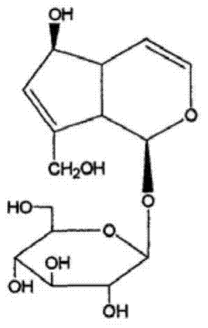 Application of aucubin to preparation of medicines for treating renal interstitial fibrosis