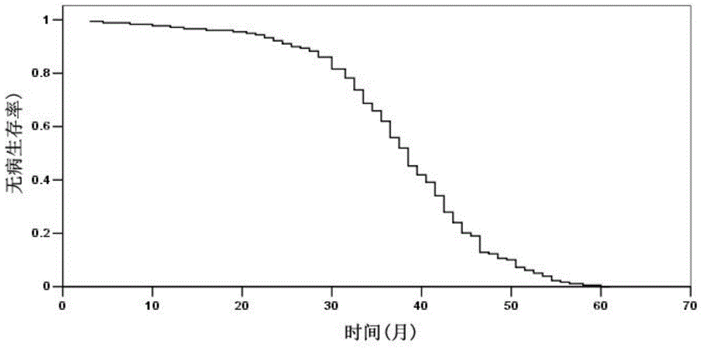 Botanical ointment for treating psoriasis and preparation method thereof