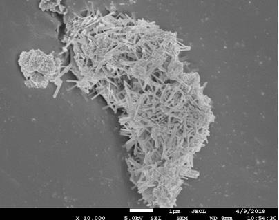 A kind of preparation method of heavy oil hydrogenation demetallization catalyst