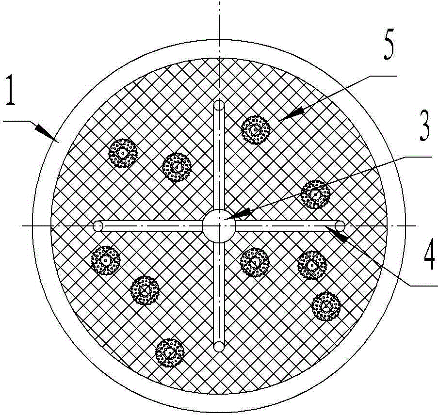 Water chestnut peeling machine