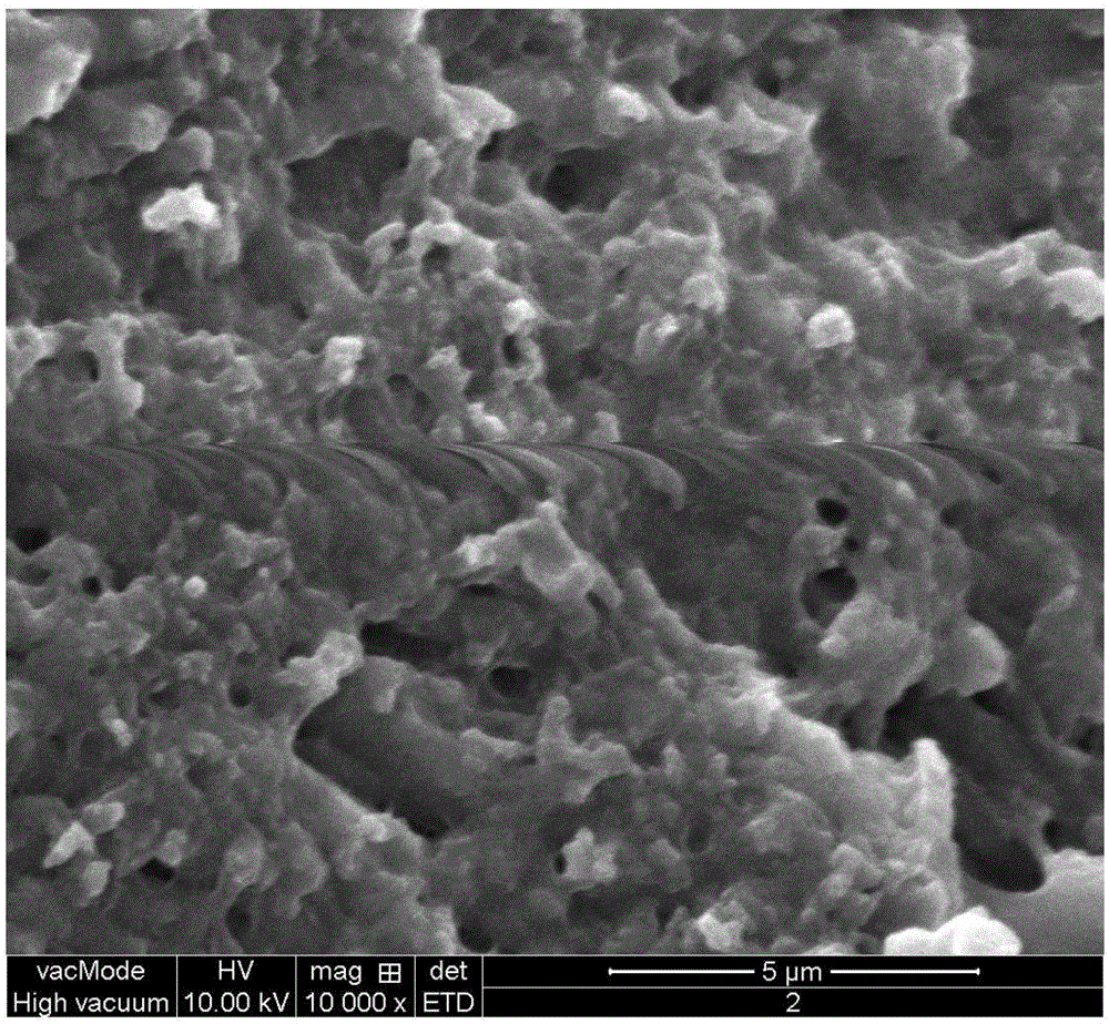 Preparation method of collagen/chitosan imprinted material