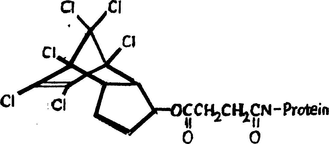 Organic chlorine pesticide benzoepin artificial antigen and antibody, their preparation and use thereof