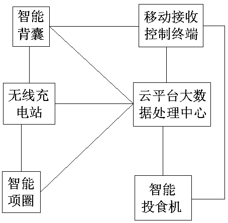 Combined training and guiding system for pet