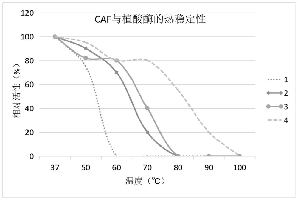 Enzyme composition and its preparation method