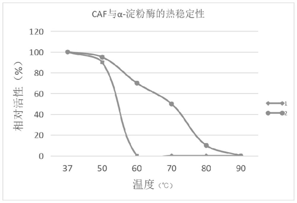 Enzyme composition and its preparation method