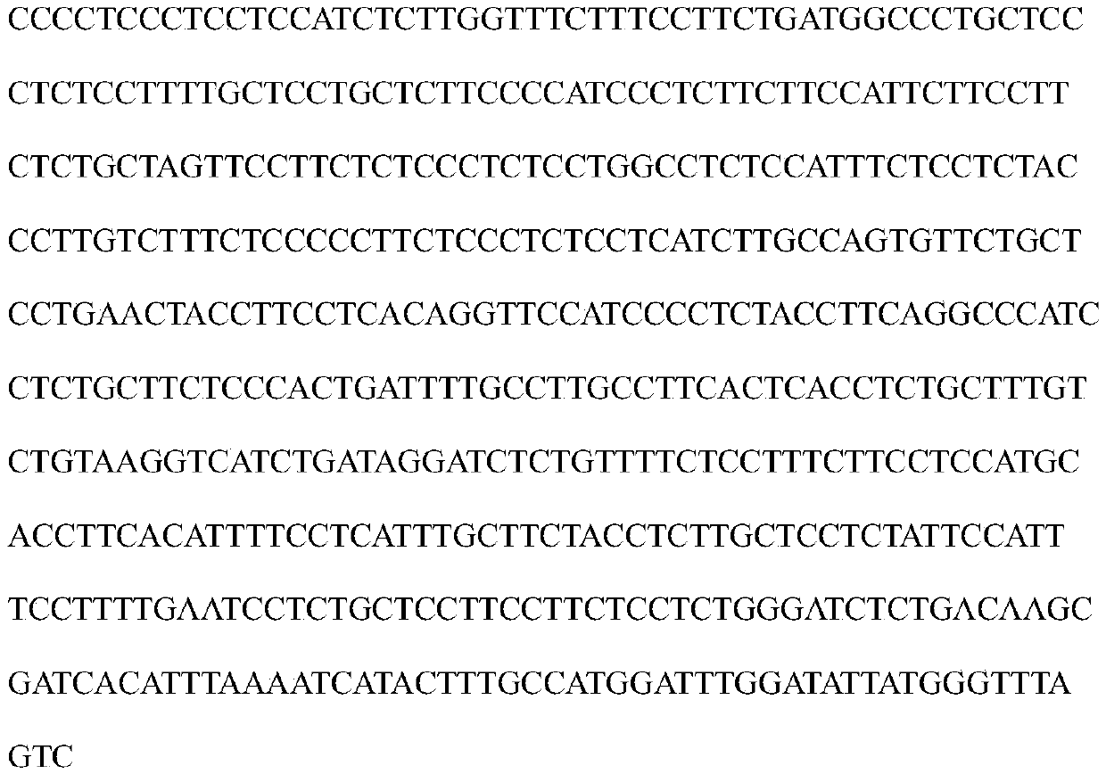 Method and primer for detecting mutation of ORF15 exon of RPGR gene