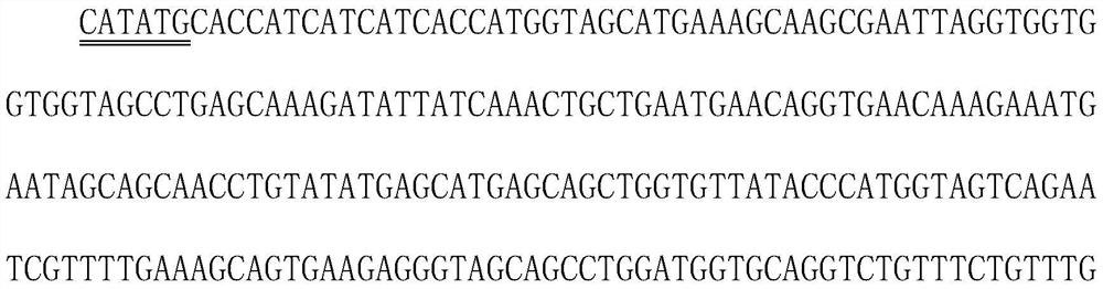 A composite quality control product for clinical diagnosis and preparation method thereof