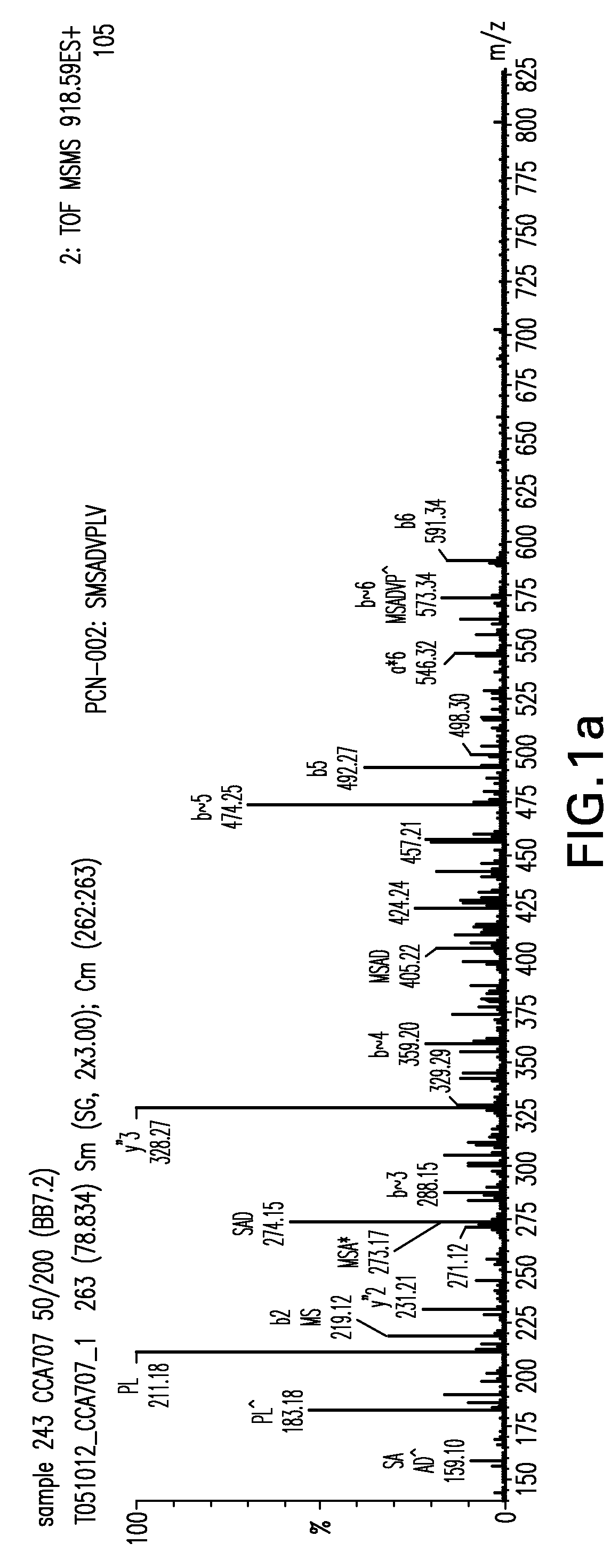 Novel immunogenic epitope for immunotherapy