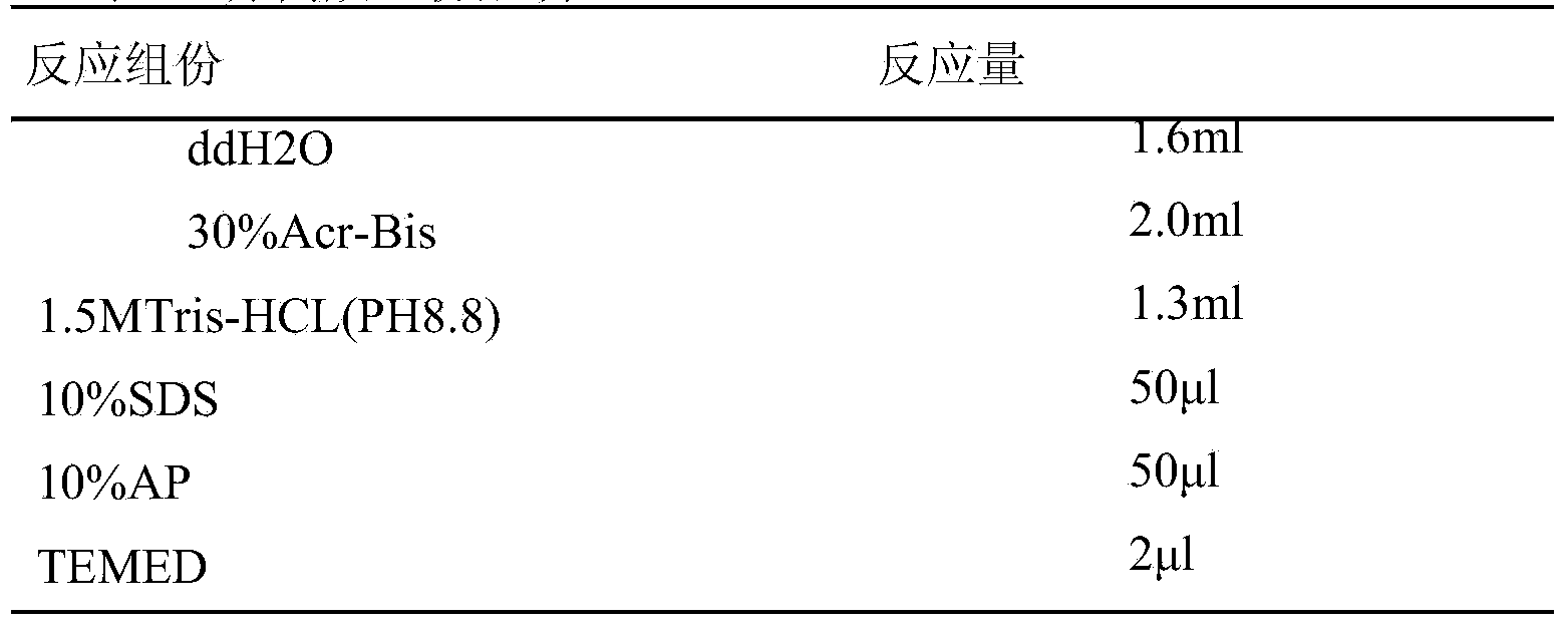 Preparation method of periodic Wuchereria malayi compound polyvalent protein vaccine