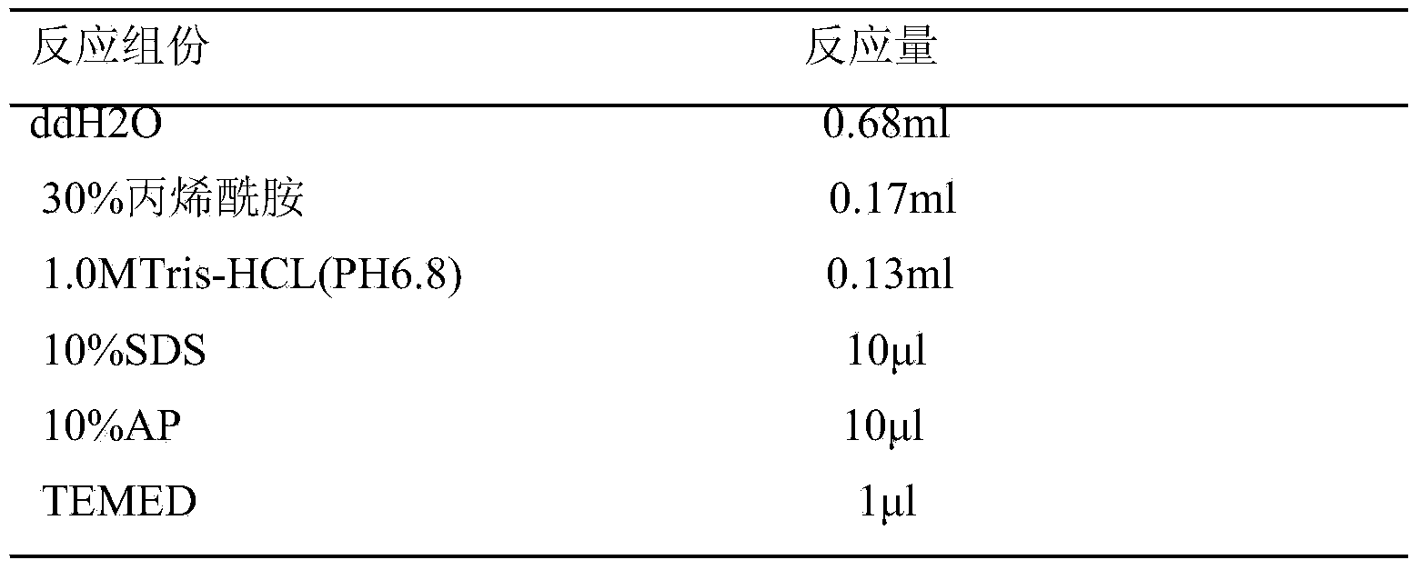 Preparation method of periodic Wuchereria malayi compound polyvalent protein vaccine