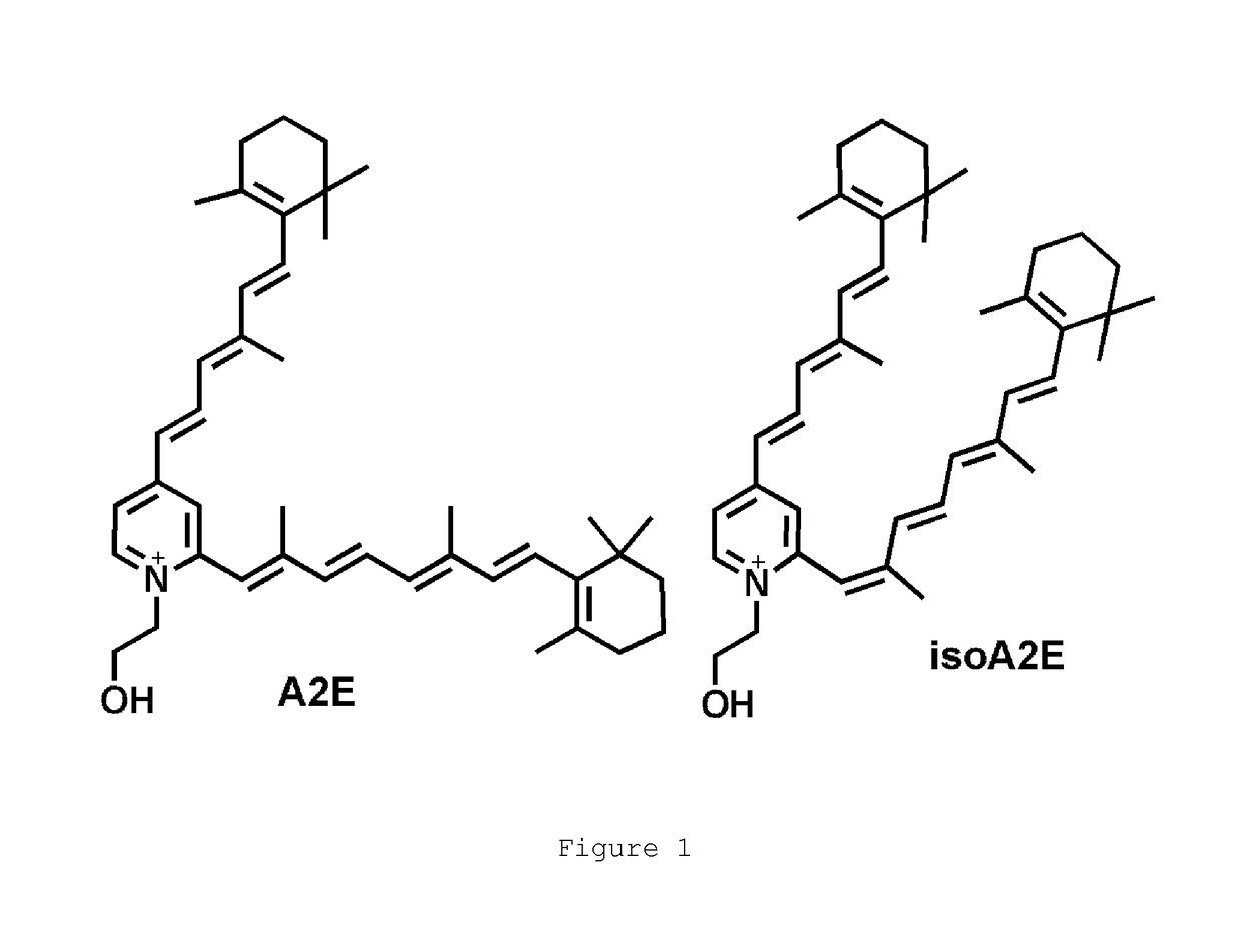 Octahydrocyclopentapyrroles, their preparation and use