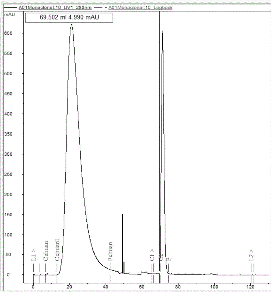 Monoclonal antibody capable of resisting group A meningococcal capsular polysaccharide conjugate, hybridoma cell strain and applications