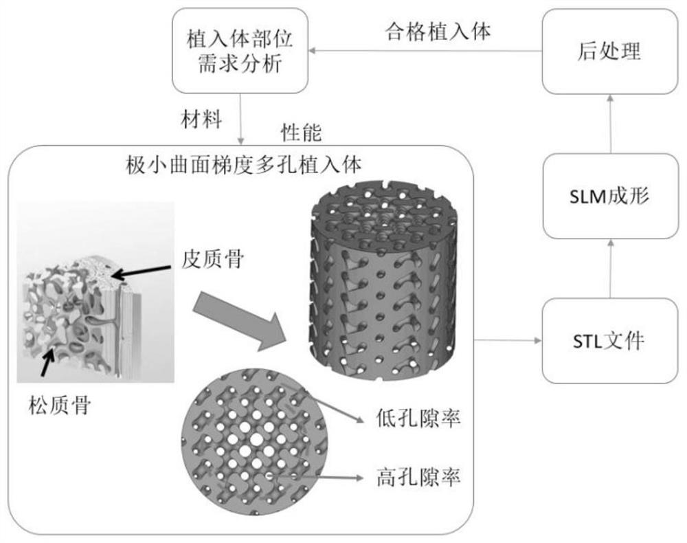 A kind of preparation method of implant body with porosity gradient change