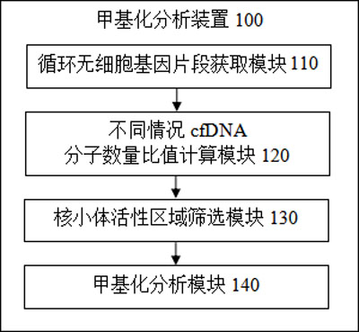 Methylation analysis method and device for active region of circulating cell-free nucleosome, terminal equipment and storage medium