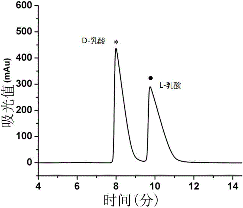 Bacterium and constructing method and application thereof