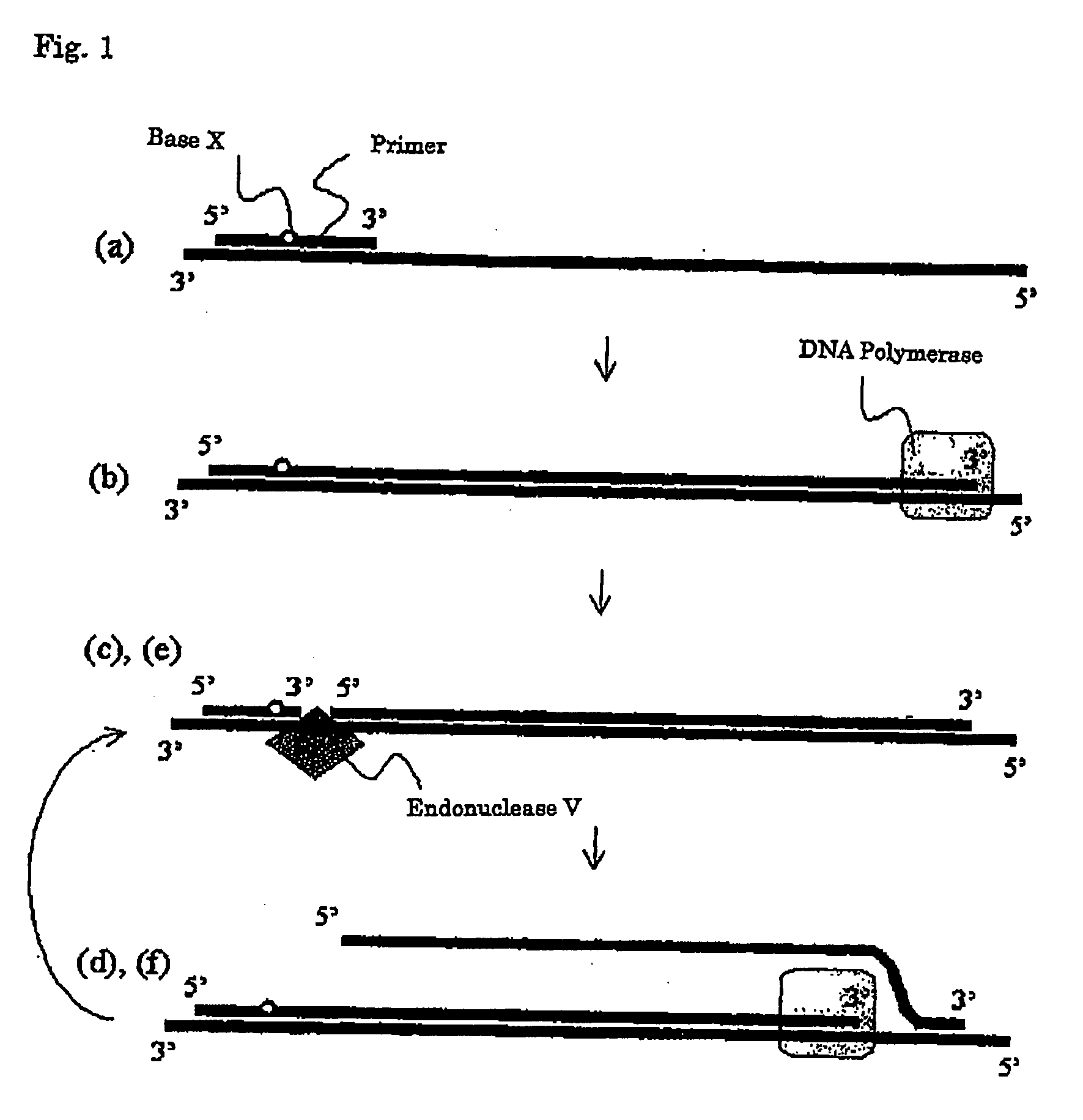 Method for amplification of nucleotide sequence