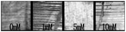 Photonic crystal gel material and glucose detection method for detecting glucose