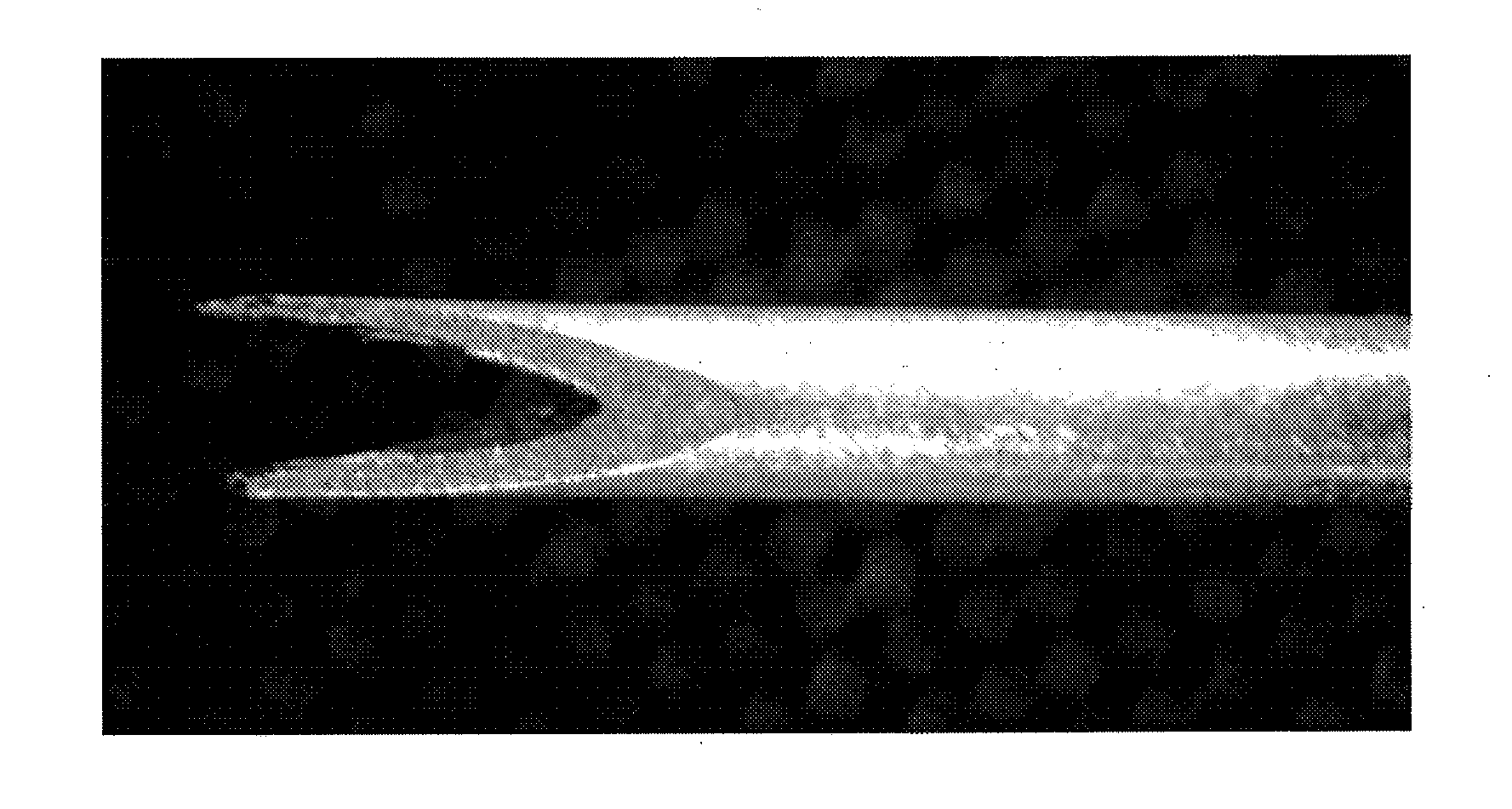 Method and apparatus for tissue grafting and copying