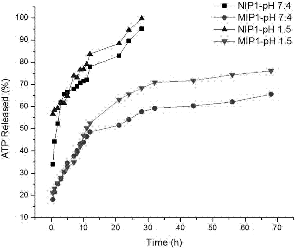 A Molecularly Imprinted Polymer with Controlled and Sustained Release Function