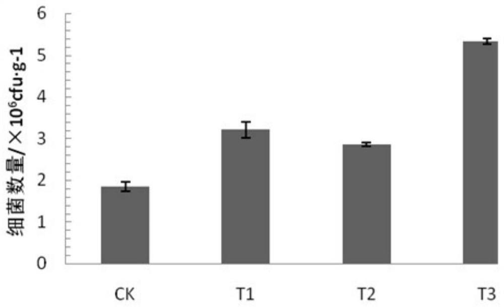 Method for promoting growth of banana seedlings by inoculating arbuscular mycorrhizal fungi