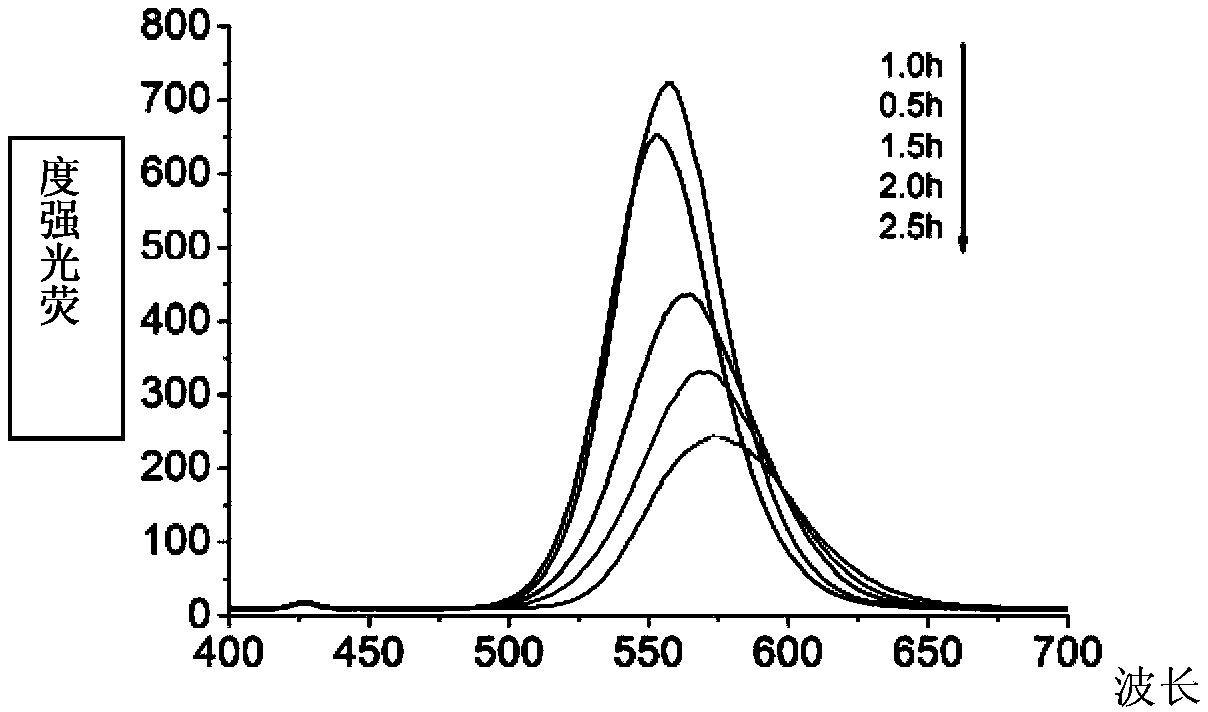 Fluorescence immunity chromatography test strip for escherichia coli O157:H7 detection