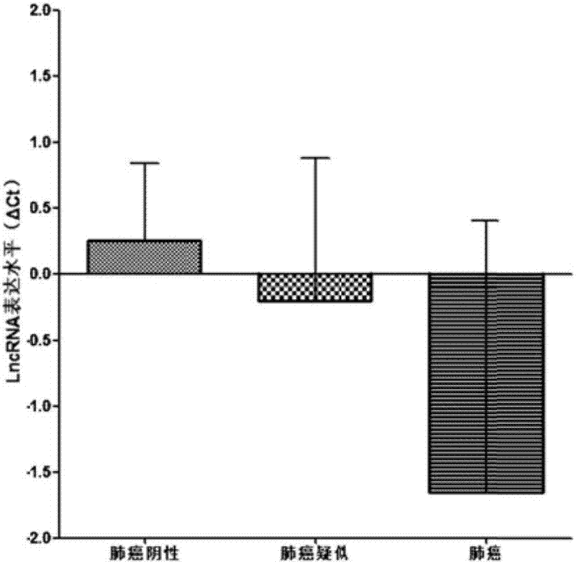 Lung cancer screening associated serum LncRNA marker and application thereof