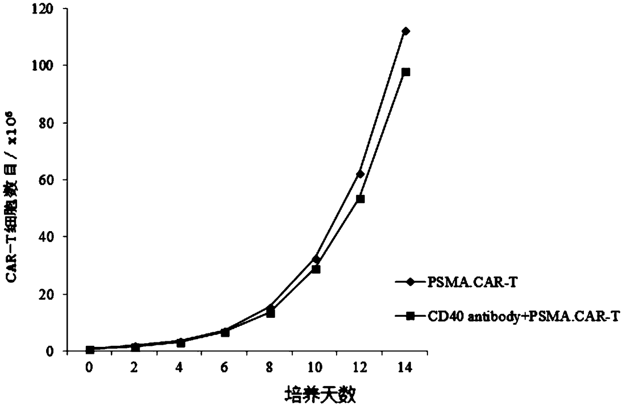 Lentiviral vector expressing CD40 antibody, and construction method and application of CAR-T cells