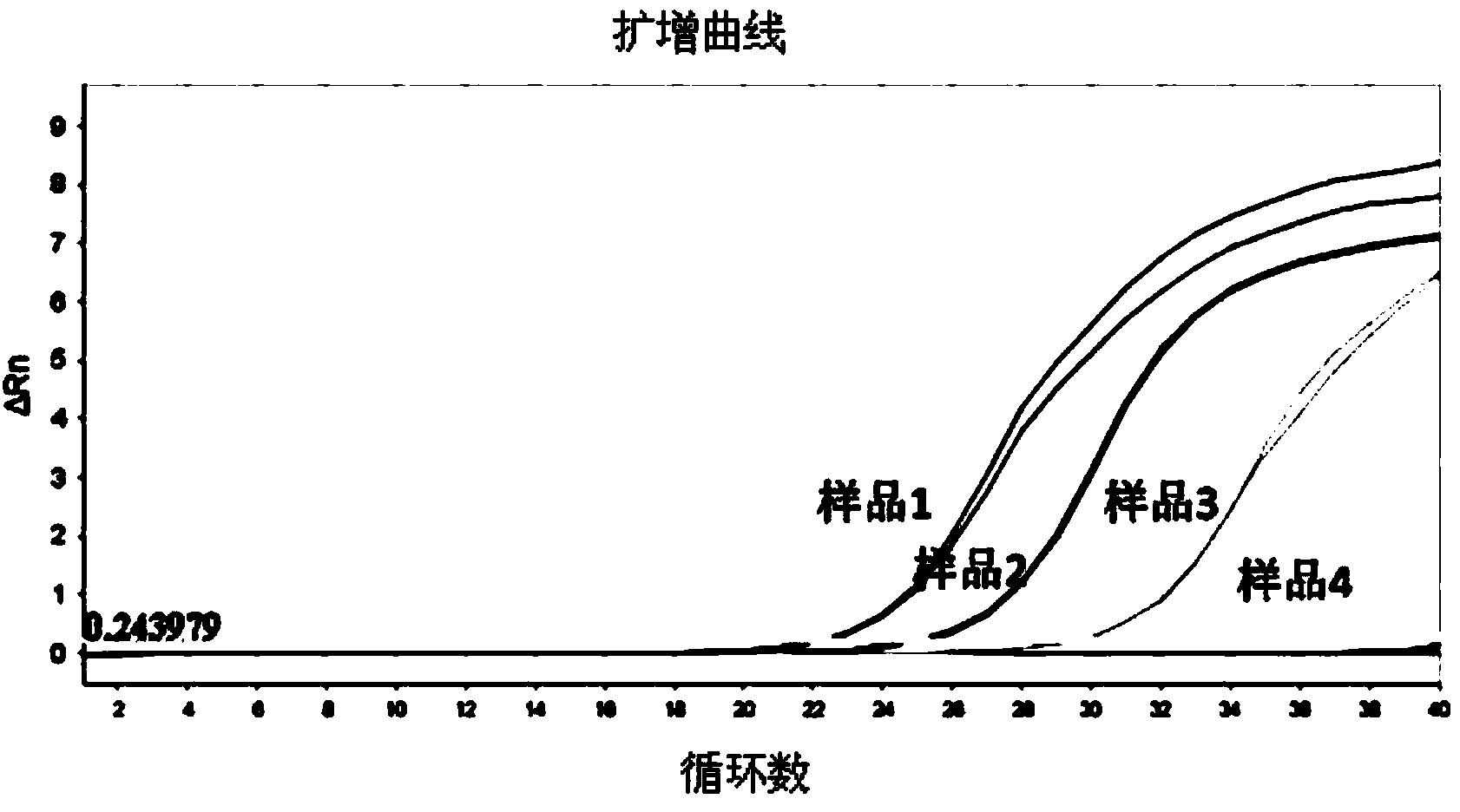 Rapid detection kit for human adenoviruses