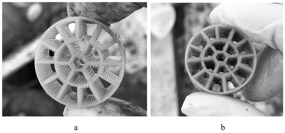 A kind of biological anchoring agent and its preparation method and application