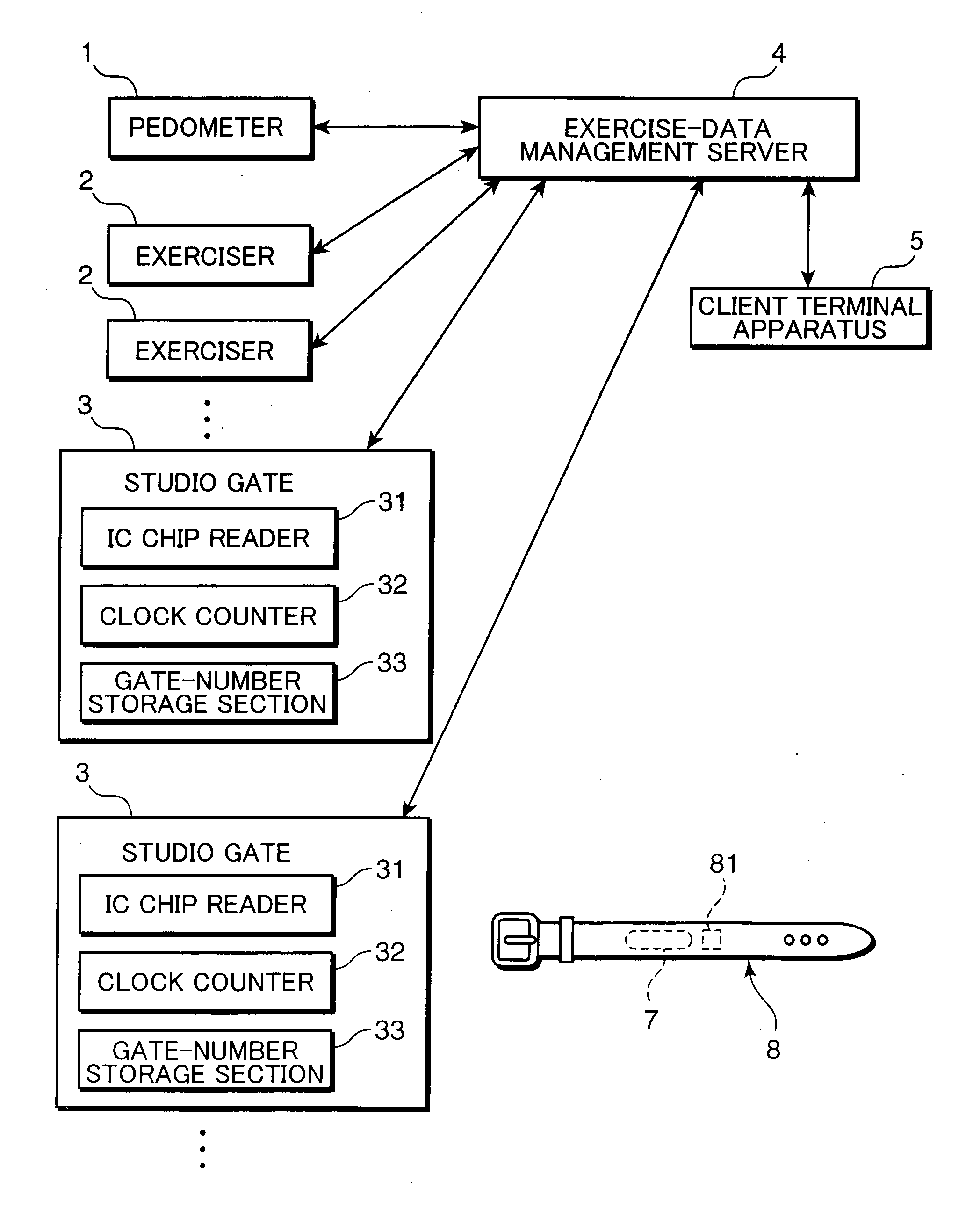 Exercise-data management server apparatus and exercise-data management system