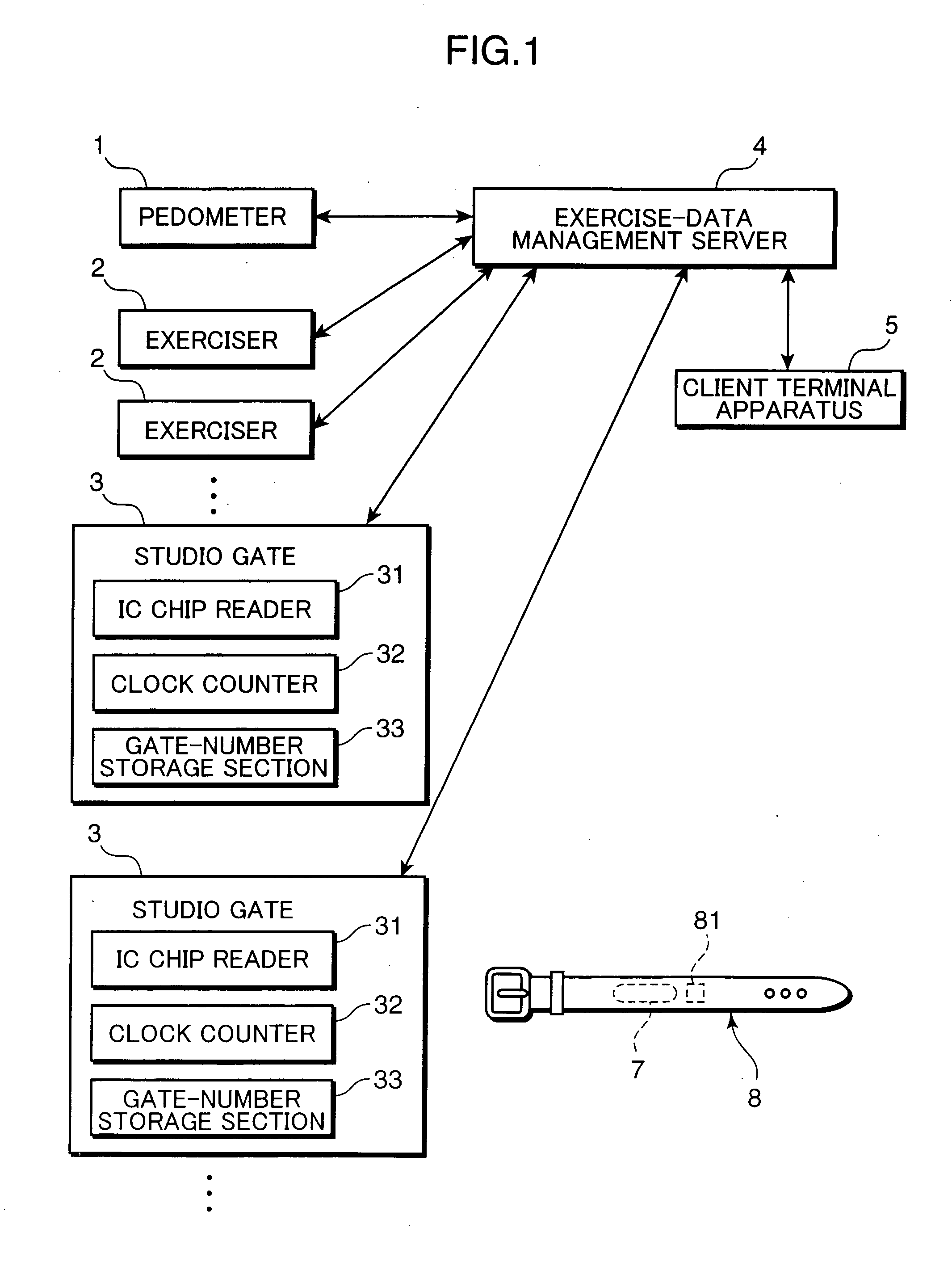 Exercise-data management server apparatus and exercise-data management system